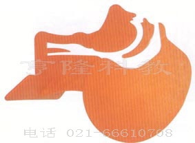 ｜急救救援模型｜急救器材｜急救設備｜氣道開放模型
