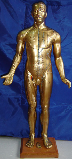 針灸銅人|半皮膚銅人針灸模型（十四經穴模型85CM）