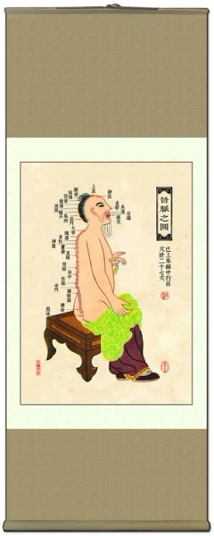 中醫針灸掛圖：十四經絡 督脈之圖