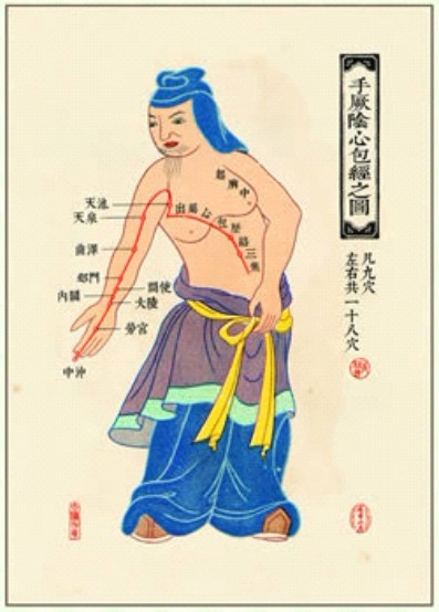 中醫針灸掛圖：手厥陰心包經之圖(卡片)