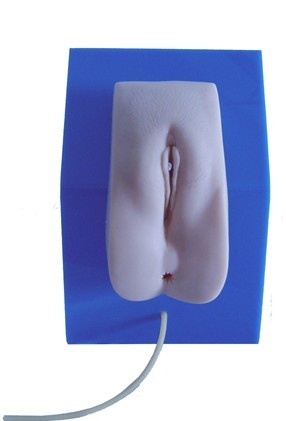 高級著裝式女性導尿模型