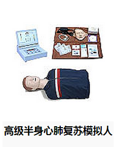 高級半身心肺復蘇模擬人