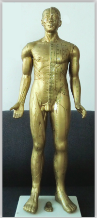 現代十四經穴針灸銅人（半皮膚半肌肉）